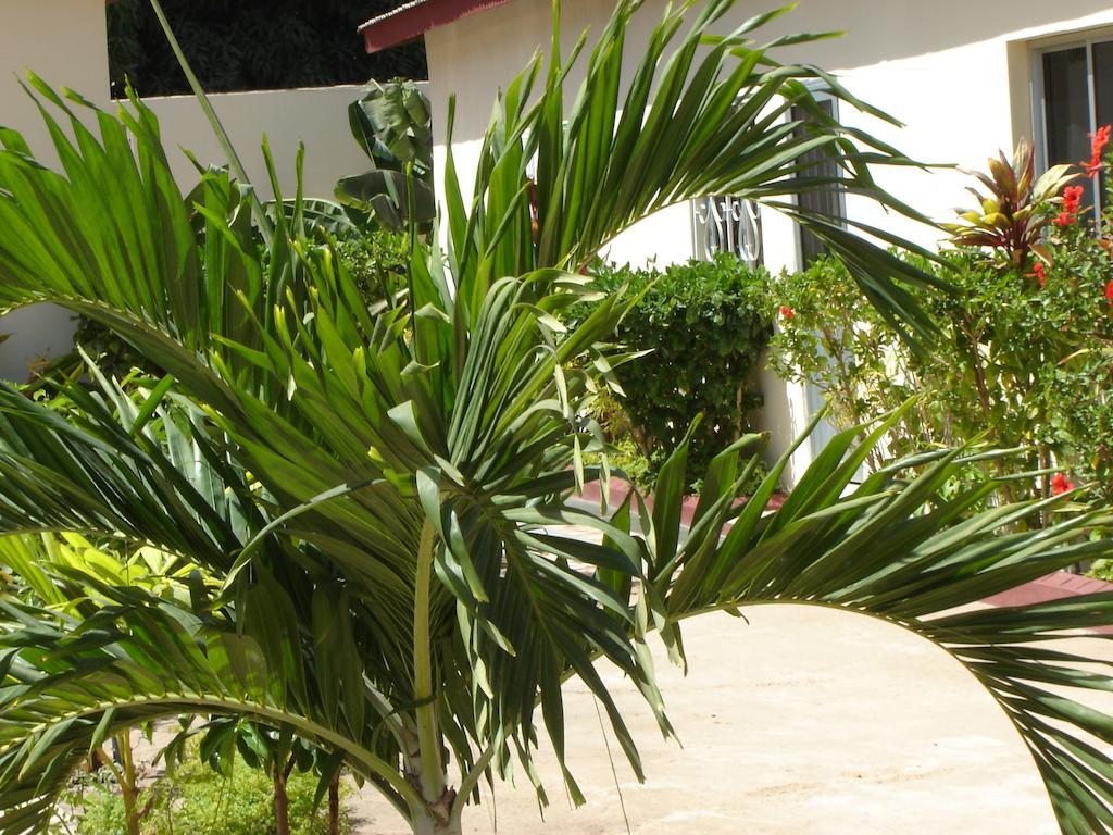 Kotu Island Lodge Buitenkant foto